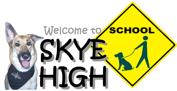 skyehigh3copy.jpg